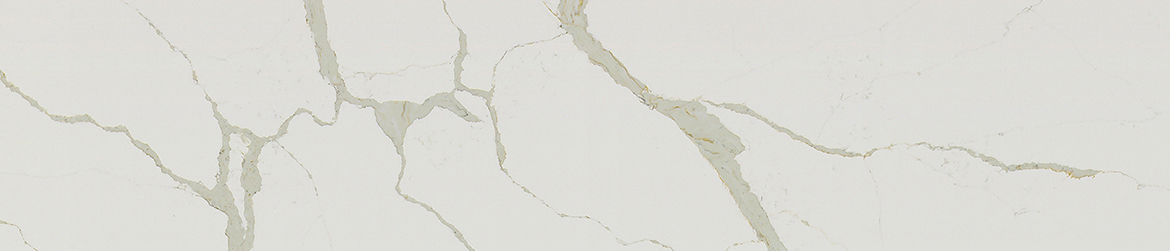 STATUARIO GOLD AM041